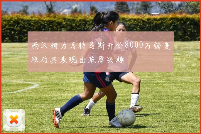 西汉姆为马特乌斯开价8000万镑曼联对其表现出浓厚兴趣